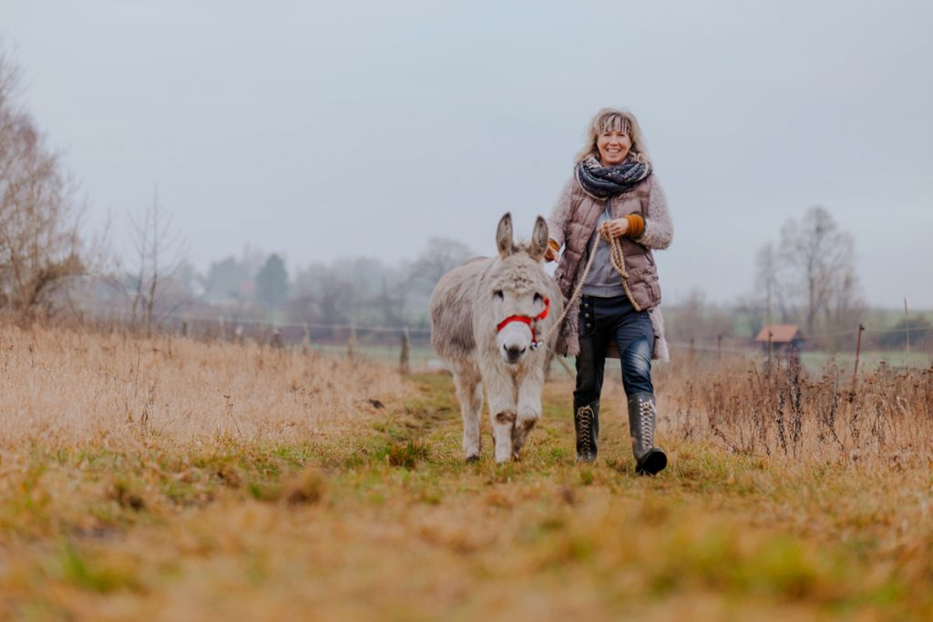 Esel Wanderung
