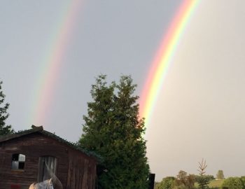 esel-berni-regenbogen